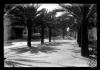 La Rambla de Sabadell des de la Plaça del Doctor Robert. Sabadell