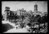 Palmeres dels jardinets de la Plaça del Doctor Robert amb l'Ajuntament i el campanar de Sant Feliu al fons. Sabadell