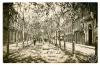 N. 31. J.B. Sabadell Rambla