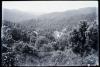 Vistes de les cases entre el bosc a Vallvidrera.