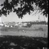 Vista panoràmica d'uns horts a la zona de Can Mora amb el monestir al fons.