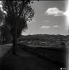 Vista panoràmica de Sant Cugat del Vallès des de la carretera de Rubí.