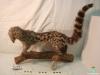 0579-Animal dissecat - geneta