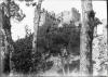 Castell de Monsoriu