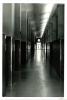 IES Badalona-4