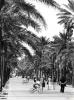 La Rambla