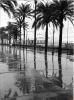 La Rambla