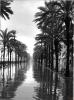 La Rambla