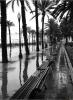 La Rambla