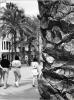La Rambla
