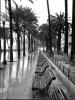 La Rambla