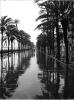La Rambla