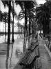La Rambla