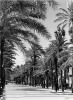 La Rambla