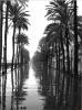 La Rambla
