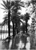 La Rambla