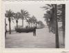 Temporal. La Rambla inundada