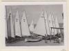 Festa Major. Patins de vela: descripció i Regata