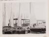 Festa Major. Patins de vela: descripció i Regata