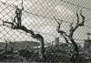 Topografia. Barris. Pomar de Dalt