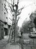 Topografia. Carrers. Carrer d'en Prim