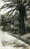 Topografia. Carrers. Rambla