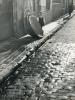 Topografia. Carrers. Sant Josep