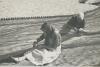 Platja. Barques. Pesca