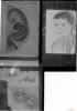 Mostra treballs alumnes Escola Catalana