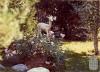 Figura d'un cervató a un parterre del parc del Pla del Mestre