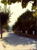 Carrer Tagamanent