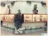 Exposició de plantes, homenatge a l'escultor Enric Monjo a la sala d'actes de Florimar durant la Festa Major, 23 a 26 de juny de 1958
