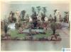 Exposició de plantes, homenatge a l'escultor Enric Monjo a la sala d'actes de Florimar durant la Festa Major, 23 a 26 de juny de 1958