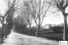 Av. Flor de maig. Vinyes.