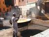FESTES DE TARDOR