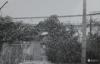 Reportatge fotogràfic del Cadastre d'Urbana del 1973