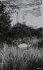 Reportatge fotogràfic del Cadastre d'Urbana del 1973