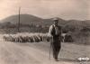 Un pastor amb les seves ovelles