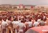 Espectacle a les festes de Sant Joan de Montornès Nord