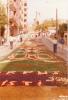 Catifes de flors a les festes del Corpus Christi