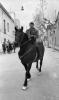 Festa de Sant Antoni (Tres Tombs)