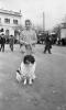 Festa de Sant Antoni (Tres Tombs)