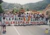 Manifestació a favor de la segregació de la Palma del municipi de Cervelló