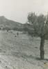 Obres de construcció del nou camp de futbol de la Palma de Cervelló
