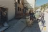 Retirada dels llistons del cel ras amb carro arrossegat per un ruc durant les obres de manteniment de l'Aliança Palmarenca