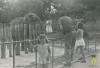 Rosa Ollé Planas al zoo de Barcelona davant un elefant